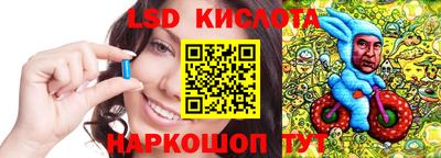 сатива Новозыбков