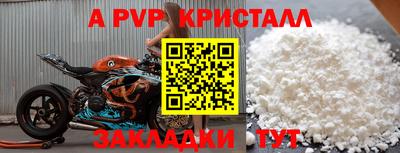сатива Новозыбков