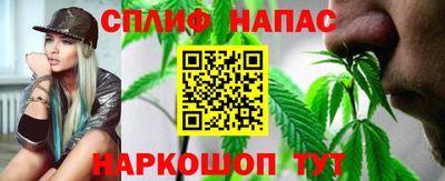 сатива Новозыбков