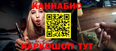сатива Новозыбков