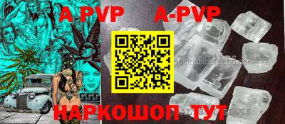 сатива Новозыбков
