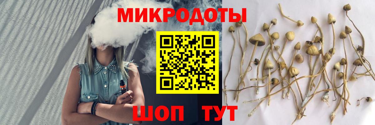 Псилоцибиновые грибы Psilocybe  Псилоцибиновые грибы MAGIC MUSHROOMS  Вход с VPN  Шарыпово 